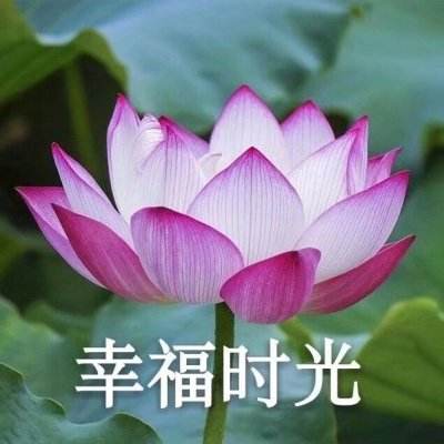 大众彩票入口welcome·官方网站