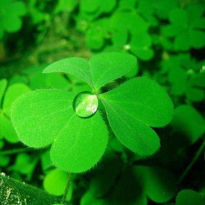 大众彩票入口welcome手机app下载